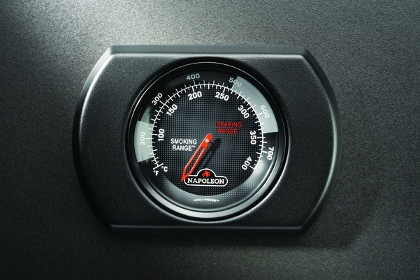 Termometr z sondą Napoleon Accu